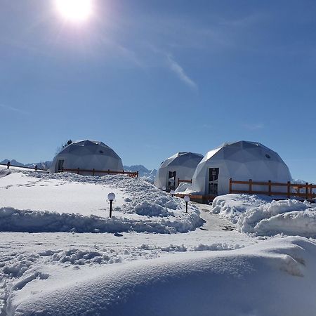 Glamping Pasieka Namiot Glamp Bukowina Tatrzanska - Domki W Gorach Groń Extérieur photo
