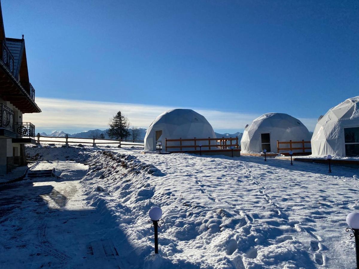 Glamping Pasieka Namiot Glamp Bukowina Tatrzanska - Domki W Gorach Groń Extérieur photo