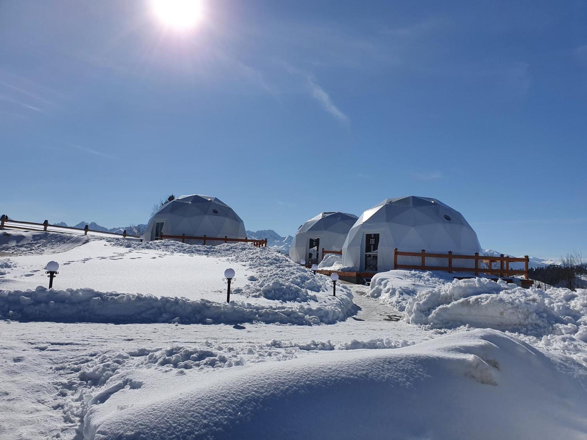 Glamping Pasieka Namiot Glamp Bukowina Tatrzanska - Domki W Gorach Groń Extérieur photo