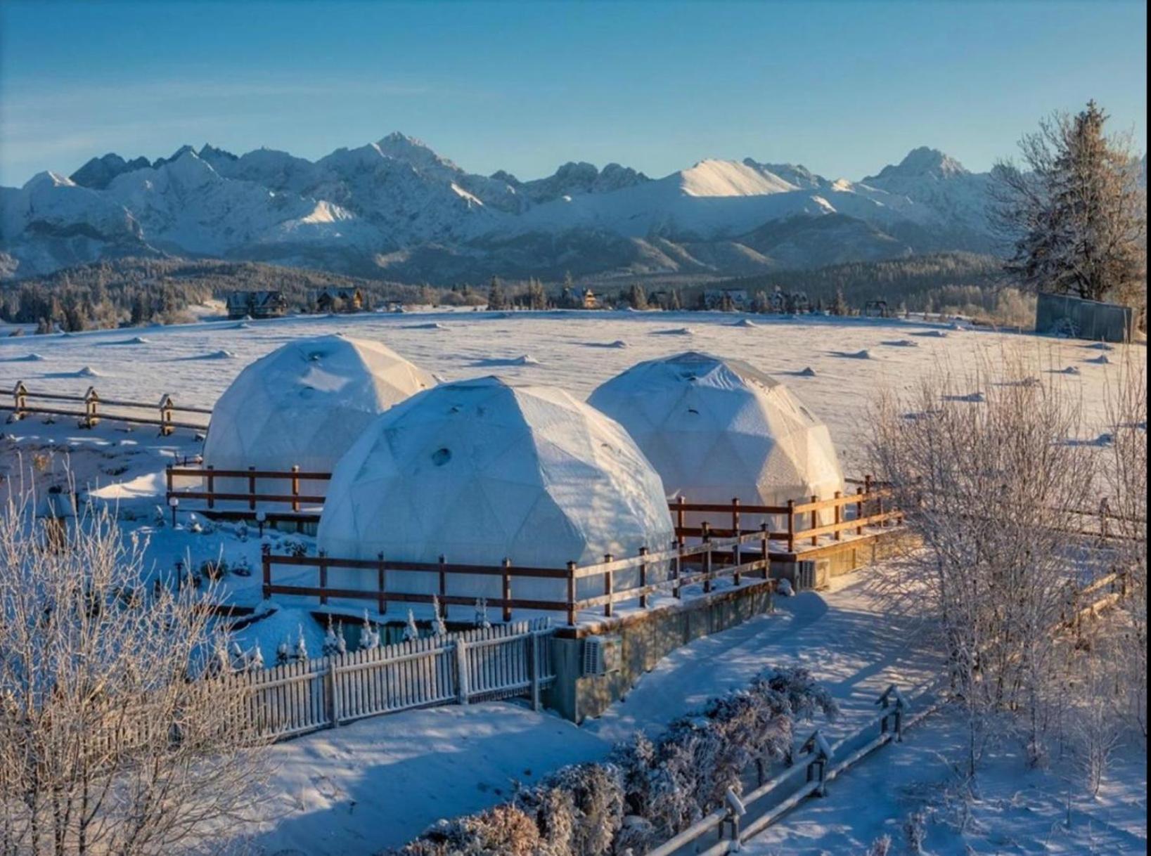 Glamping Pasieka Namiot Glamp Bukowina Tatrzanska - Domki W Gorach Groń Extérieur photo